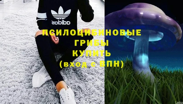 каннабис Ельня