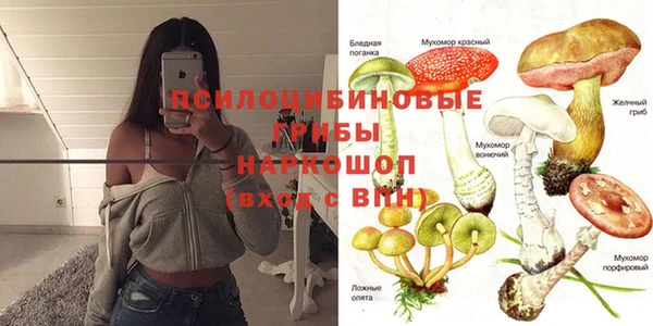 прущая мука Елабуга