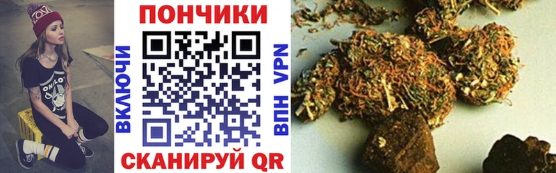 Бошки марихуана конопля  купить  сайты  Питкяранта 
